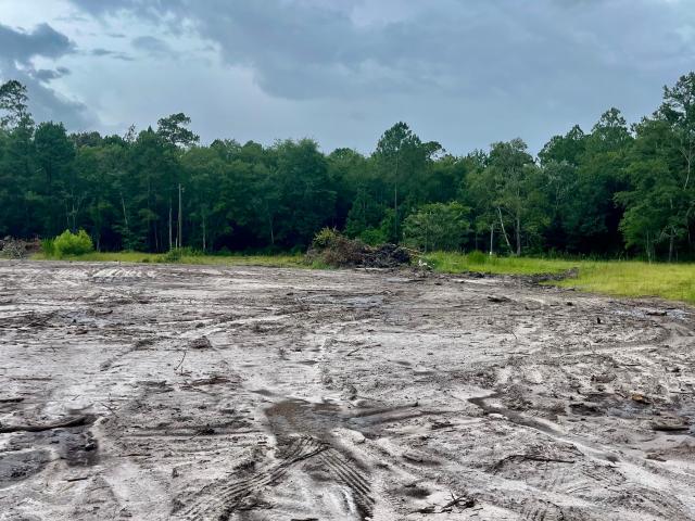 Land for sale in Georgia