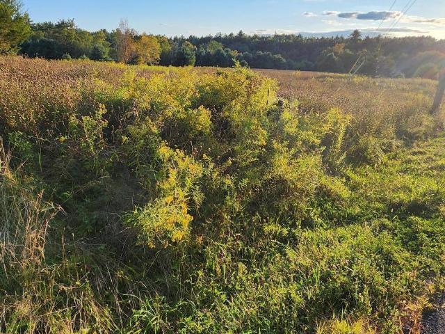 Land for sale in Accord, New York