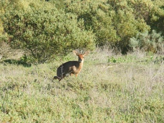 Land for sale in Western Cape