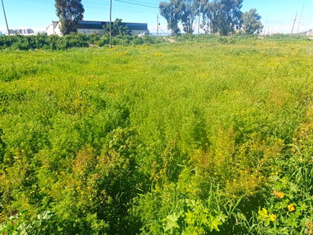 Land for sale in West Coast Village, City of Cape Town