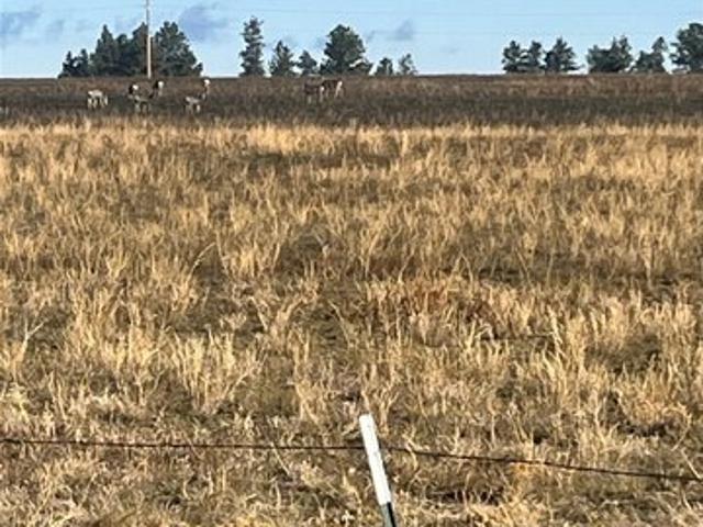 Land for sale in Musselshell, Montana