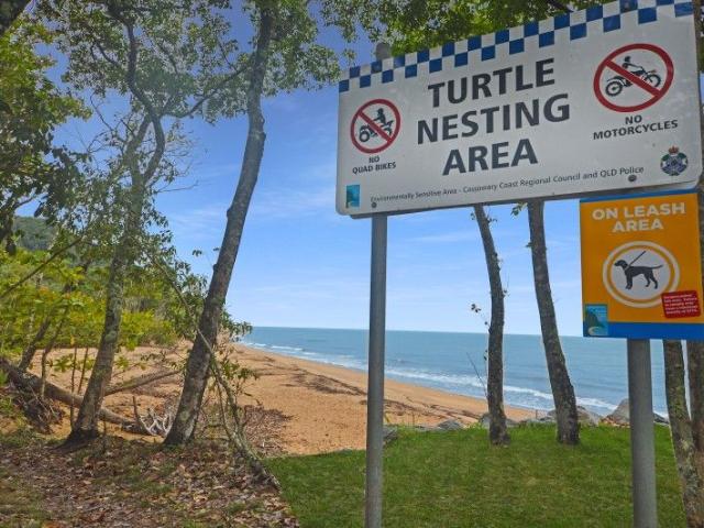 House for sale in Flying Fish Point, Queensland