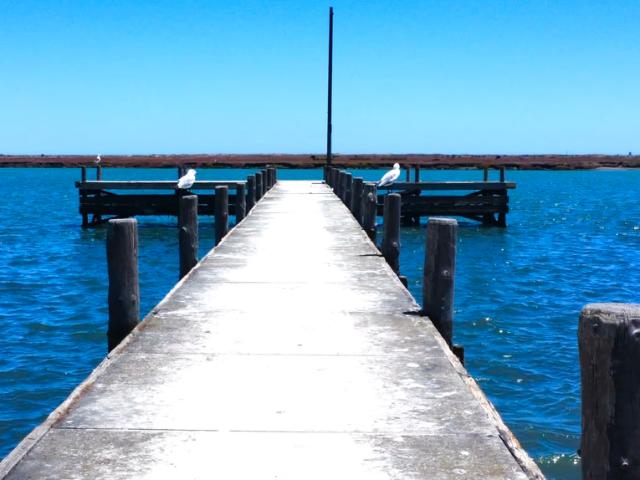 Land for sale in West Coast, Velddrift