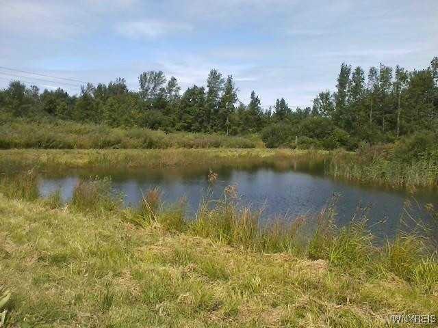 Farm for sale in Niagara, New York