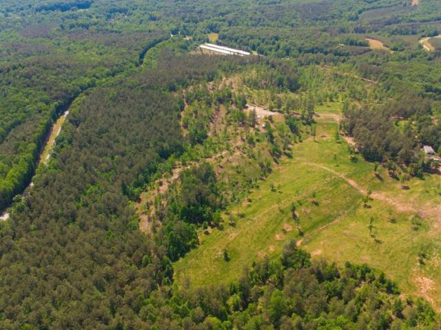 Land for sale in Dahlonega, Georgia