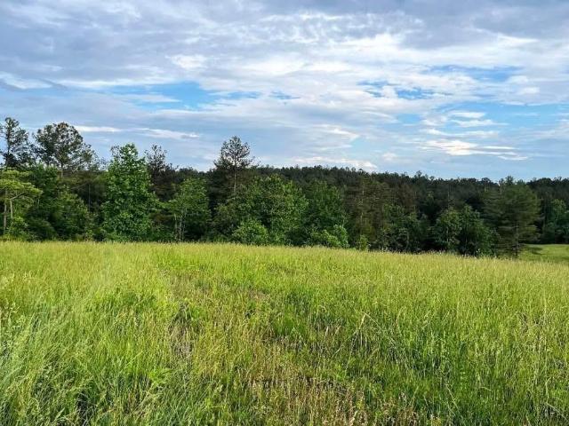 Land for sale in Dahlonega, Georgia