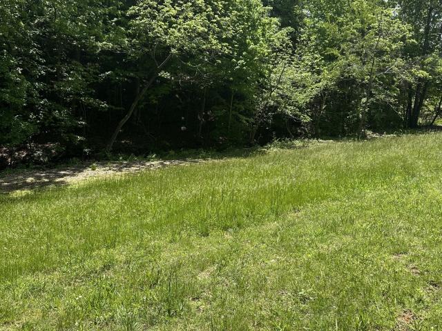 Land for sale in Tennessee