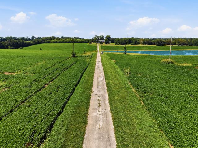Farm for sale in Lexington, Kentucky