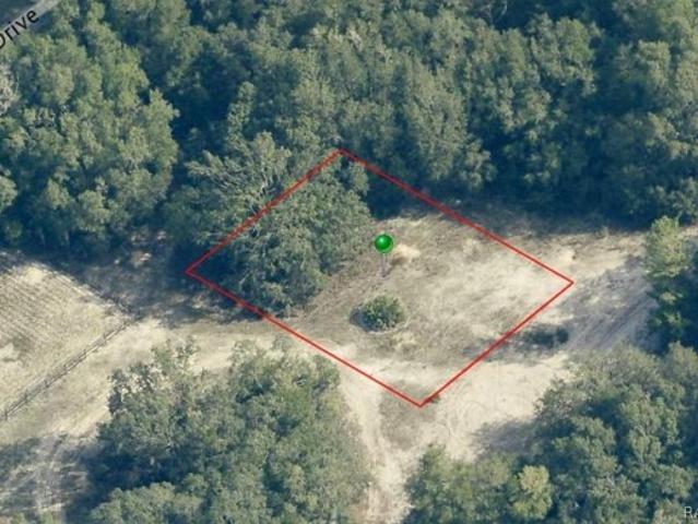 Land for sale in Hernando, Florida