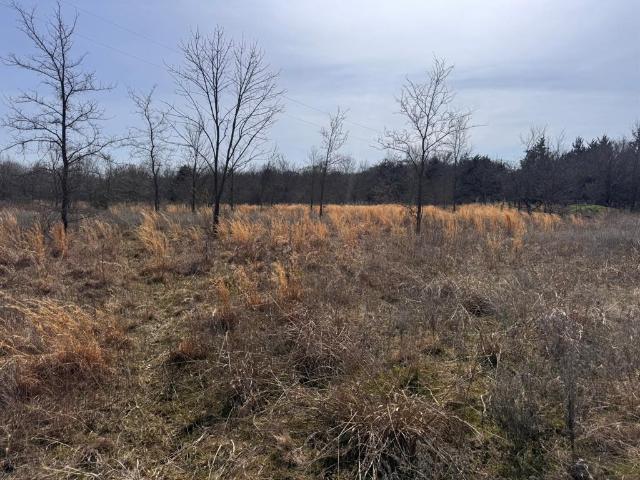 Property for sale in Bells, Texas