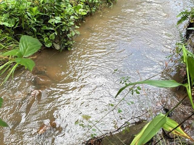 Land for sale in Red Hill, Hillsville