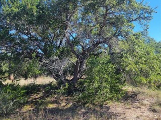 Farm for sale in Blanco, Blanco County