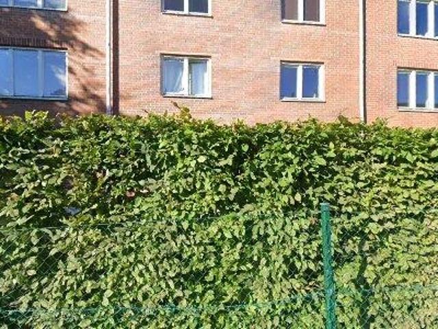 Lokal hyra i Centrum, Uppsala