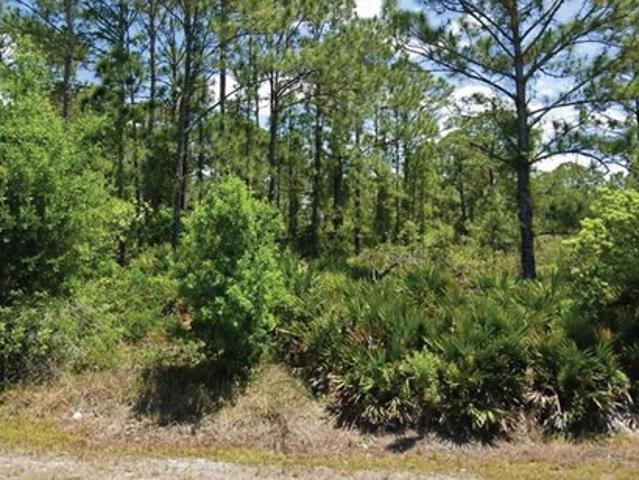 Land for sale in Lake Placid, Florida