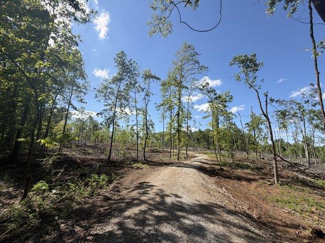 Farm for sale in Springfield, Middle Tennessee