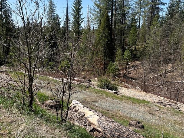 Land for sale in Coulterville, California