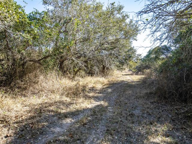 Land for sale in Texas