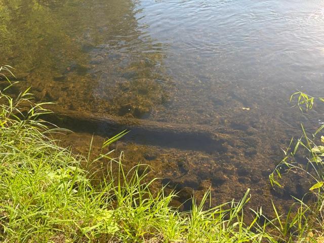 Land for sale in Saint Croix, Wisconsin