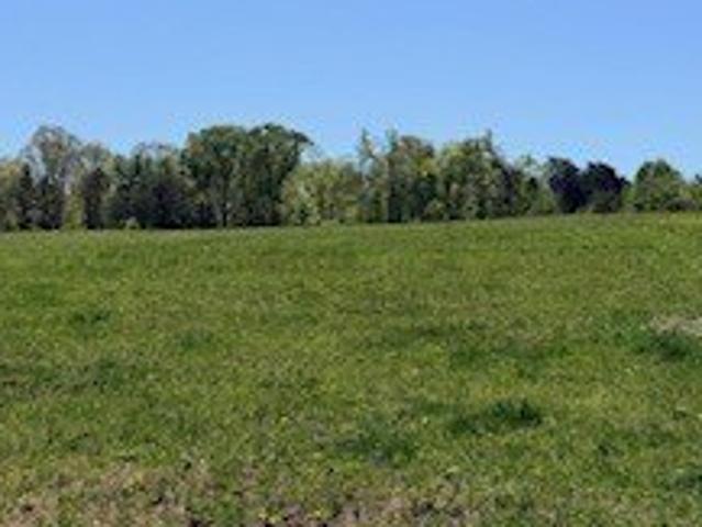 Land for sale in Bowersville, Georgia