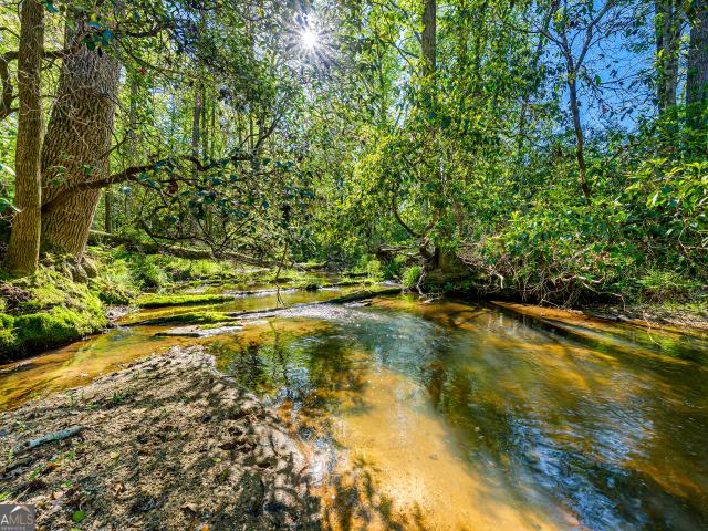Land for sale in Bowersville, Georgia