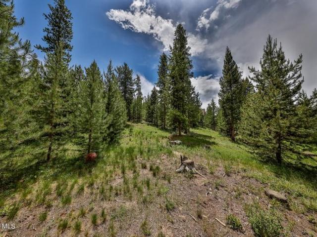 Land for sale in Grand Lake, Colorado
