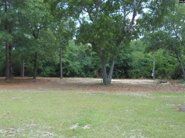 House for sale in Lexington, South Carolina