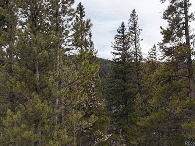 Land for sale in Clear Creek, Colorado