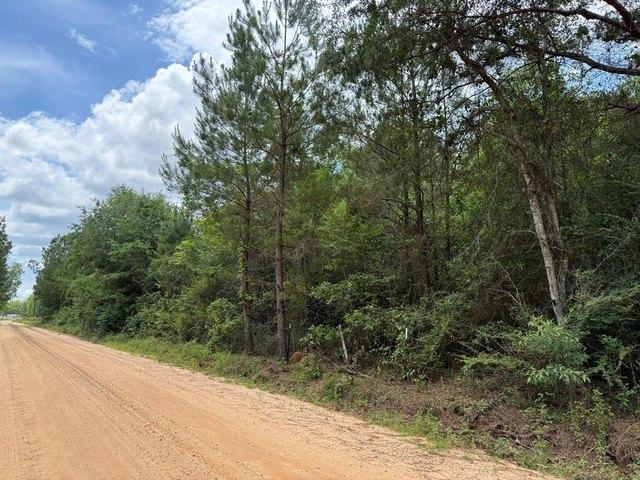 Farm for sale in Bainbridge, Georgia