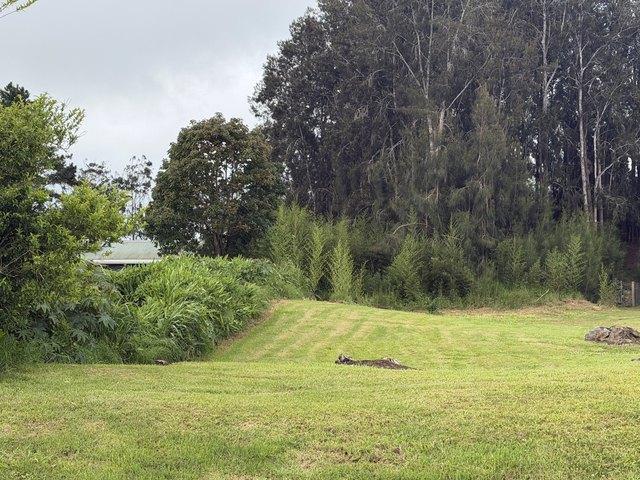 Land for sale in Waimea/Kamuela, Hawaiʻi County
