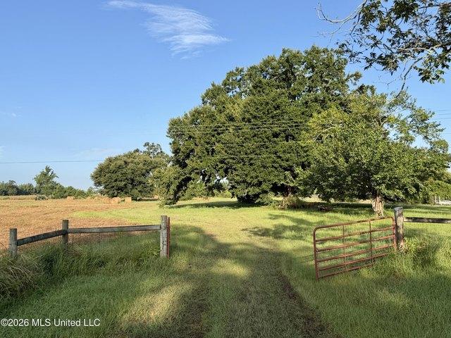 Land for sale in Neely, Mississippi