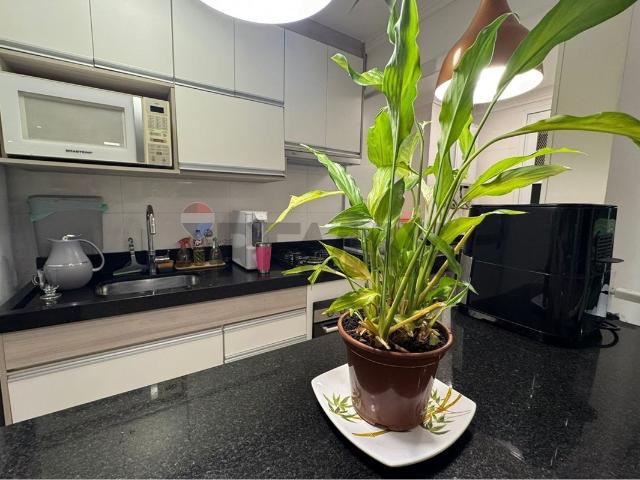 Apartamento aluguel em Região Imediata de Campinas, Região Metropolitana de Campinas