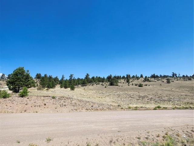 Land for sale in Hartsel, Colorado
