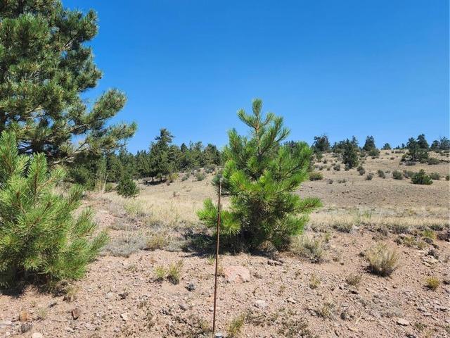 Land for sale in Hartsel, Colorado