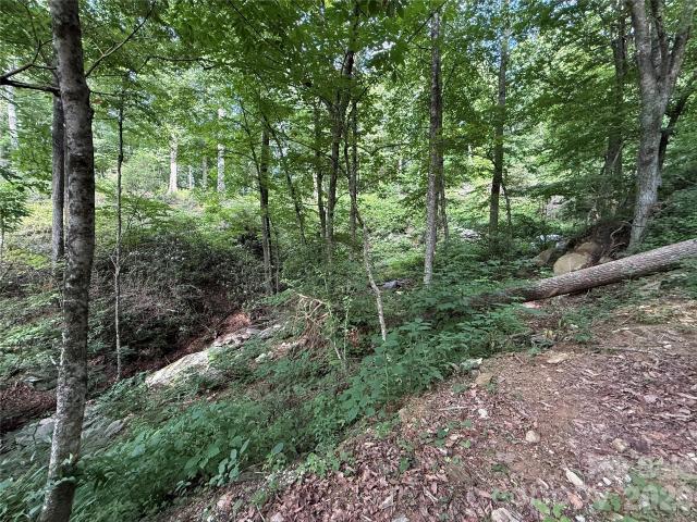 Land for sale in Fairview, North Carolina