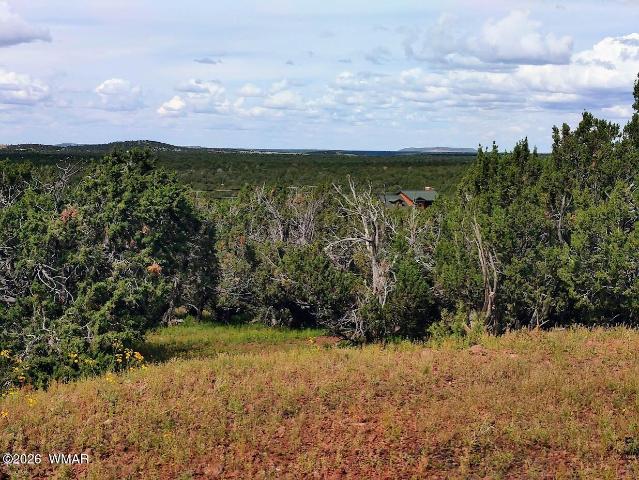 Land for sale in Arizona