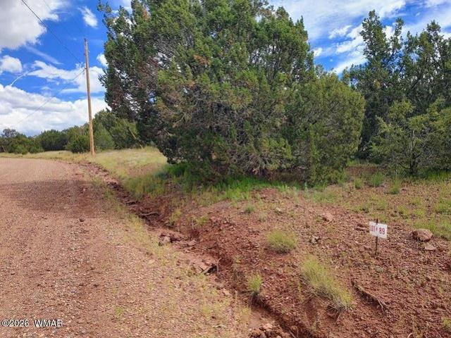 Land for sale in Arizona