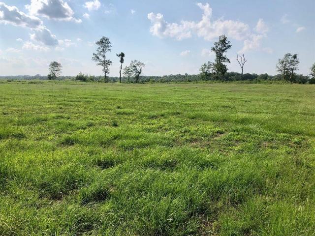 Land for sale in Tennessee
