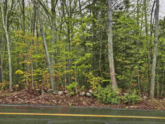 Land for sale in New Hampshire