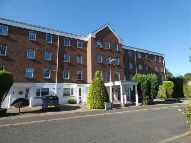 Apartment to rent