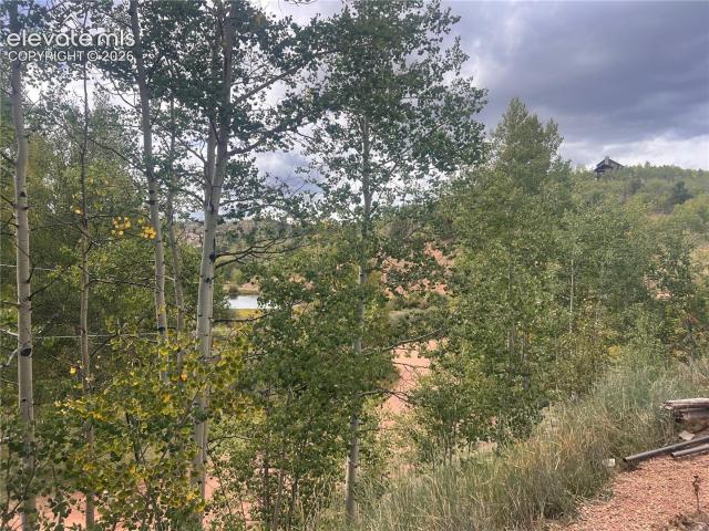 House for sale in Cripple Creek, Teller County