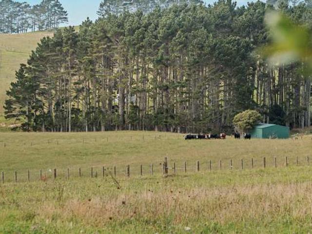 Property for sale in Kawau Island