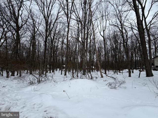 Land for sale in Oneida, Pennsylvania