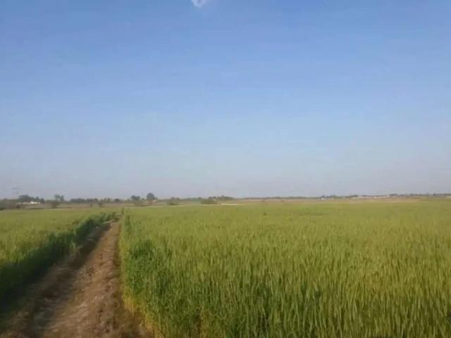 Land for sale in Islamabad Capital Territory