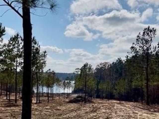 Land for sale in Boyce, Louisiana