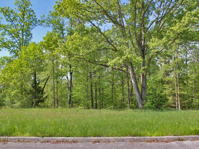 Land for sale in Somerset, Kentucky