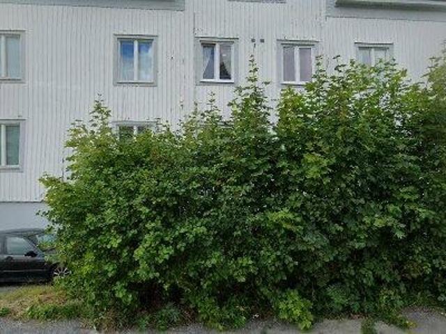 Lägenhet hyra i Härnösand, Västernorrland