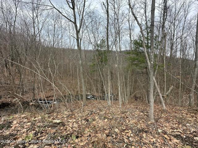 Land for sale in Claverack, New York
