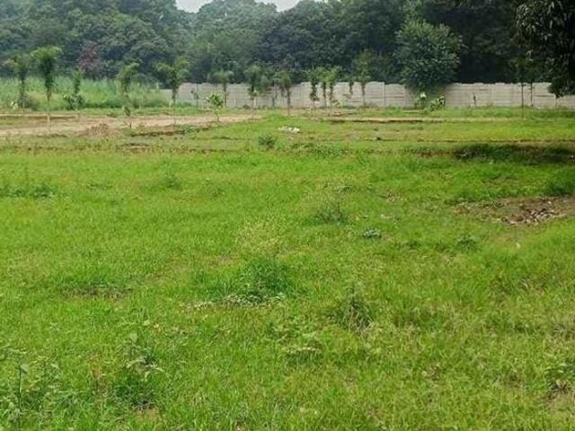 Land for sale in Jharli, Arunachal Pradesh