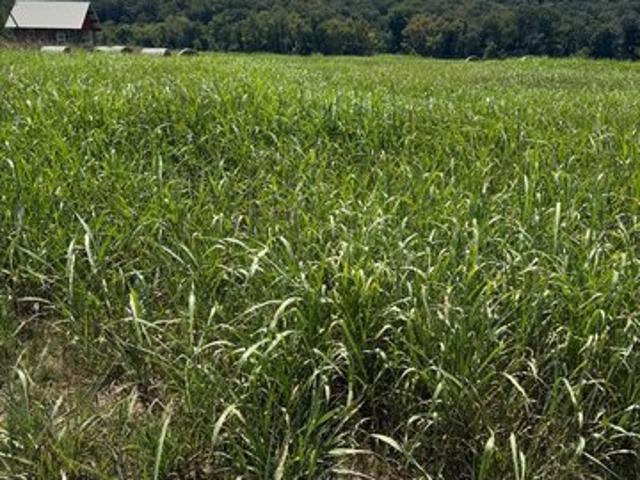 Land for sale in Ark