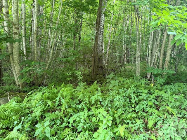 Land for sale in Haywood, North Carolina